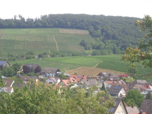 The beautiful village of Pfaffenweiler surrounded by vineyards